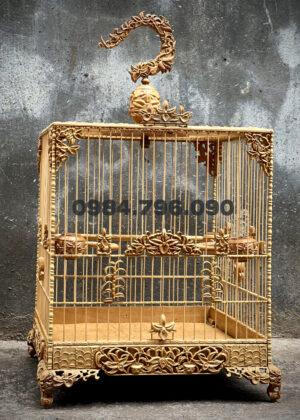 Giảm giá Cám chào mào bình dương gold 200gr -dành cho cả chim thi đấu và  thay lông - BeeCost