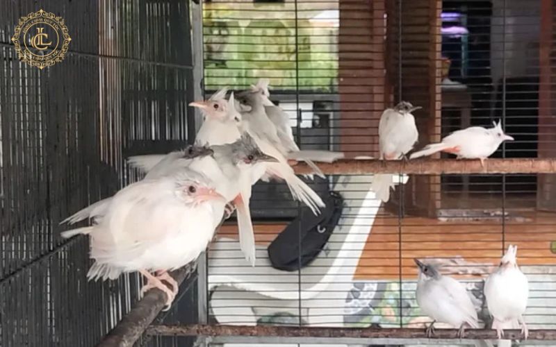 lich trinh huan luyen Lịch trình huấn luyện và nghỉ ngơi