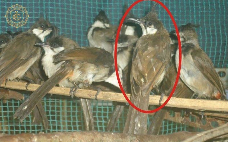 tinh trang suc khoe Cách chăm sóc bổ sung hỗ trợ sức khỏe