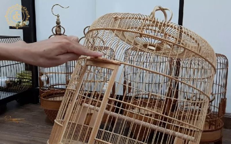 ve sinh long chim Vệ sinh lồng chim